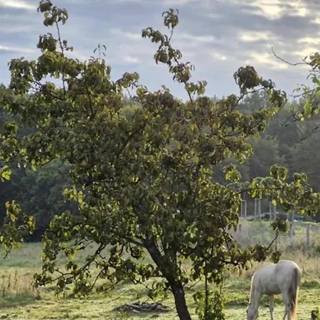 L'ecrin Des Saisons بيت للعطل