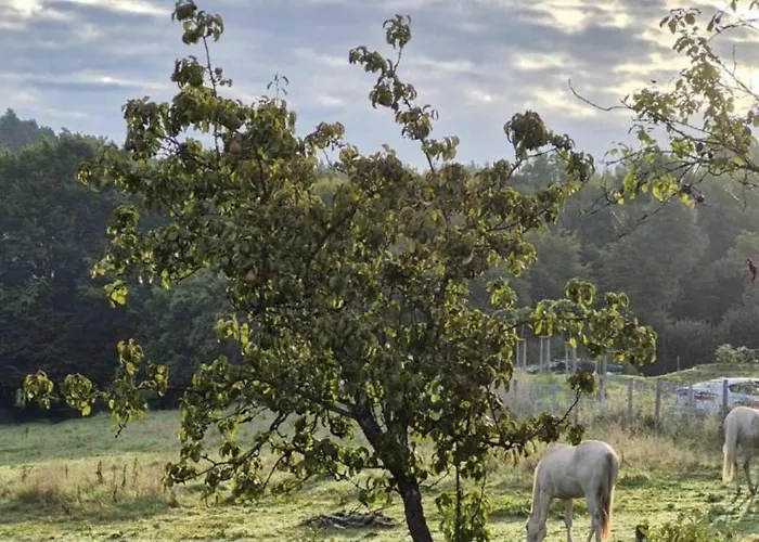 L'ecrin Des Saisons Tatil Evi
